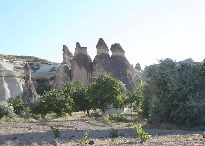 Anatolia Cave Hotel Pension