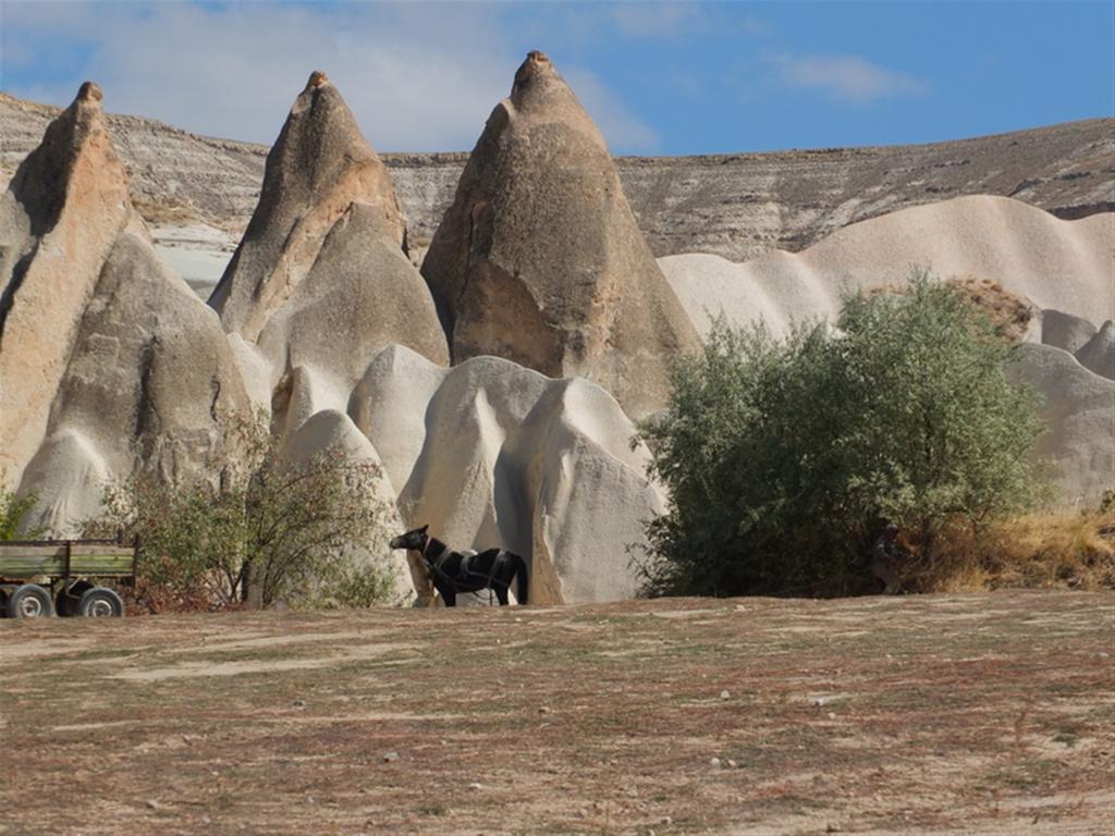 Anatolia Cave 2* Göreme