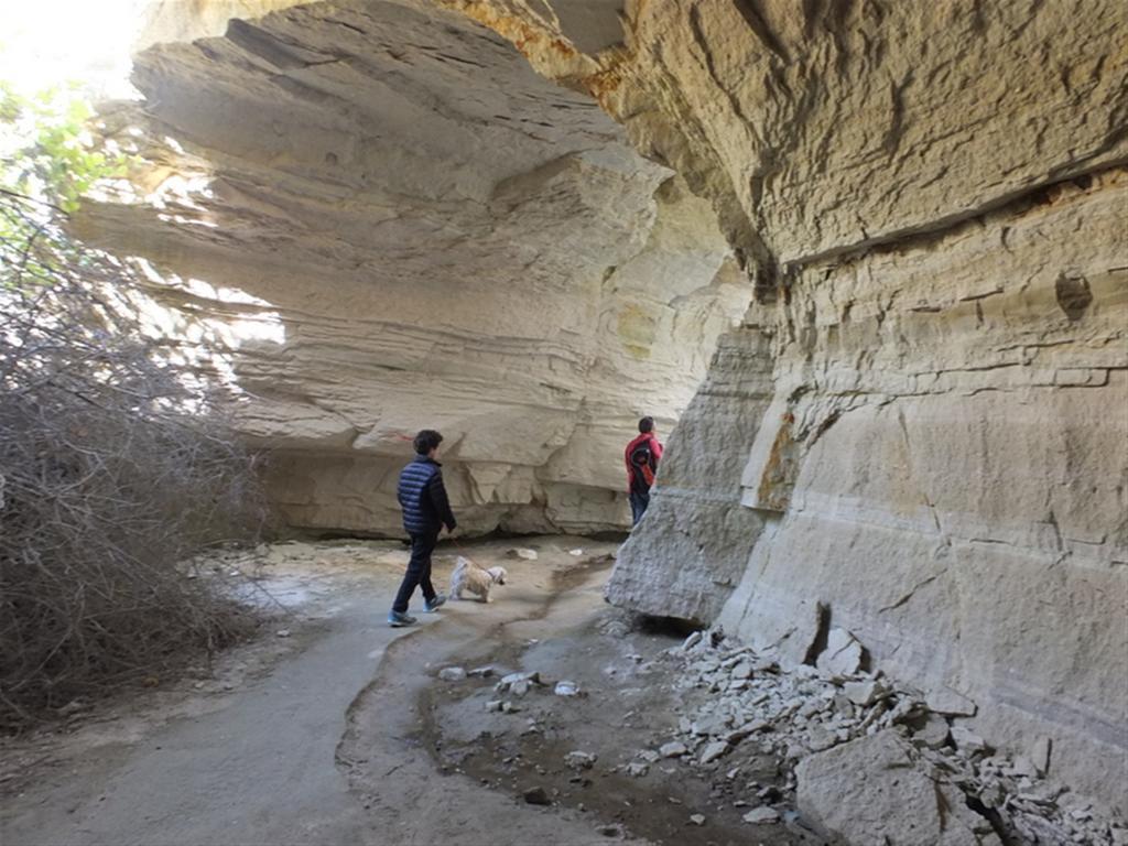 Anatolia Cave Maison d'hôtes Göreme
