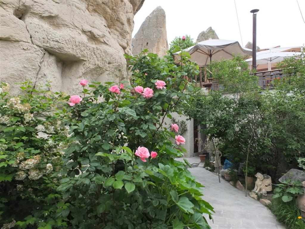 Maison d'hôtes Anatolia Cave 2*