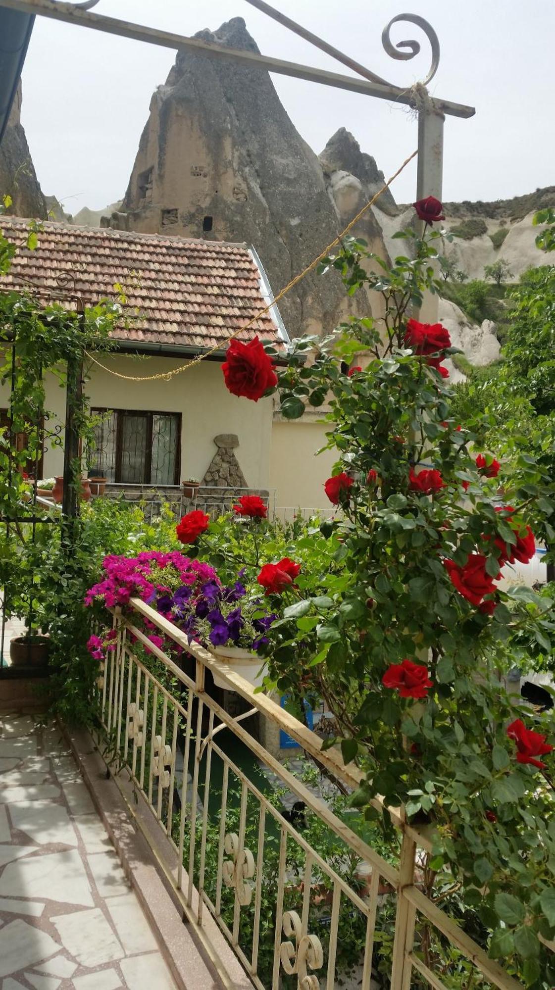 Maison d'hôtes Anatolia Cave 2*