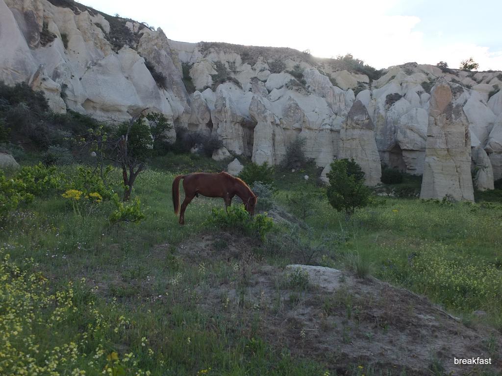 Anatolia Cave Göreme