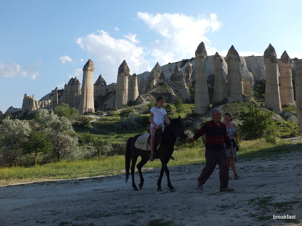 Maison d'hôtes Anatolia Cave
